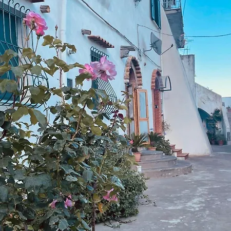 Il Cortile Fiorito Appartamento *