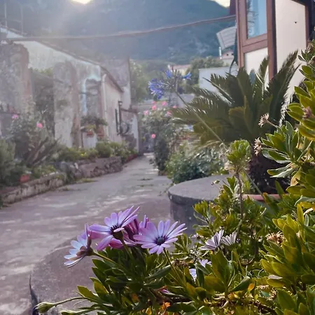 Il Cortile Fiorito Apartment *