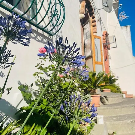 Il Cortile Fiorito Apartment